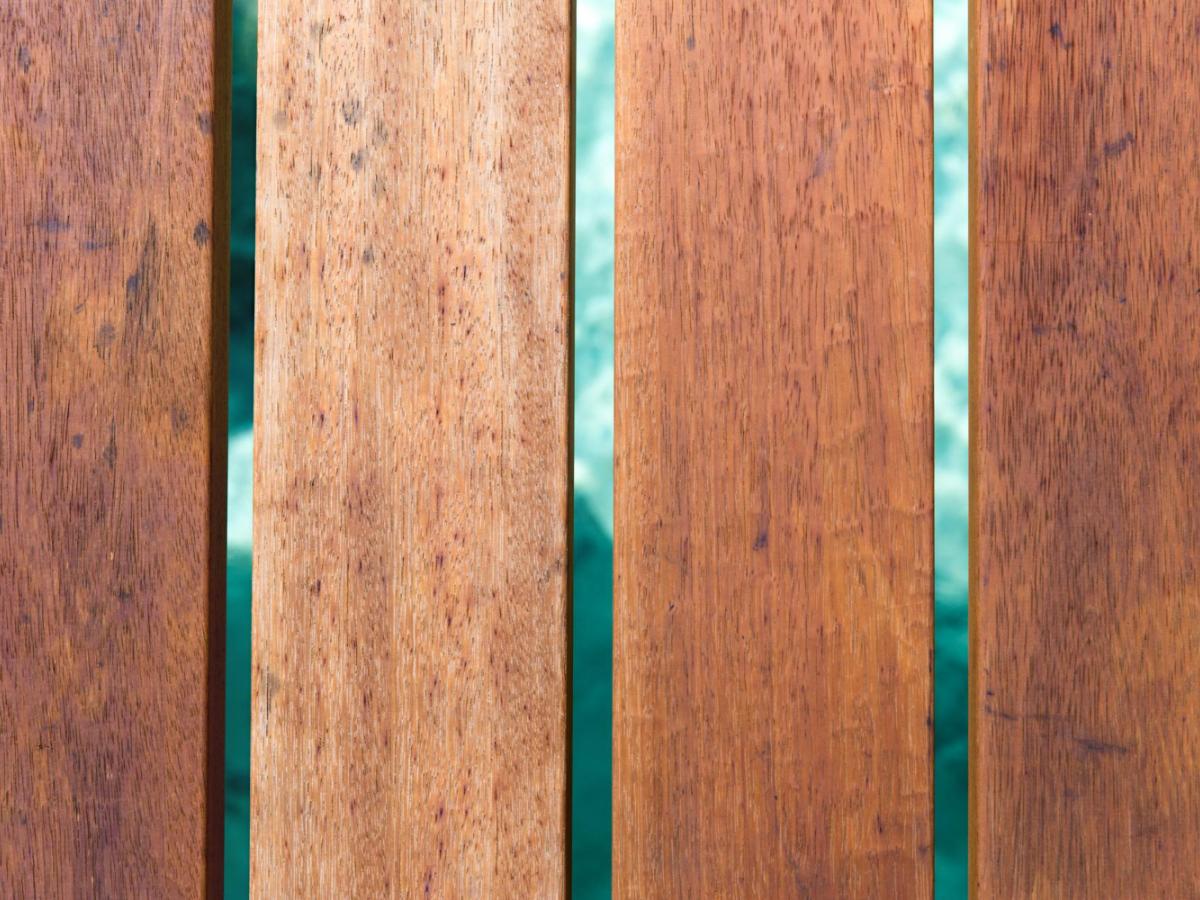 cedar
